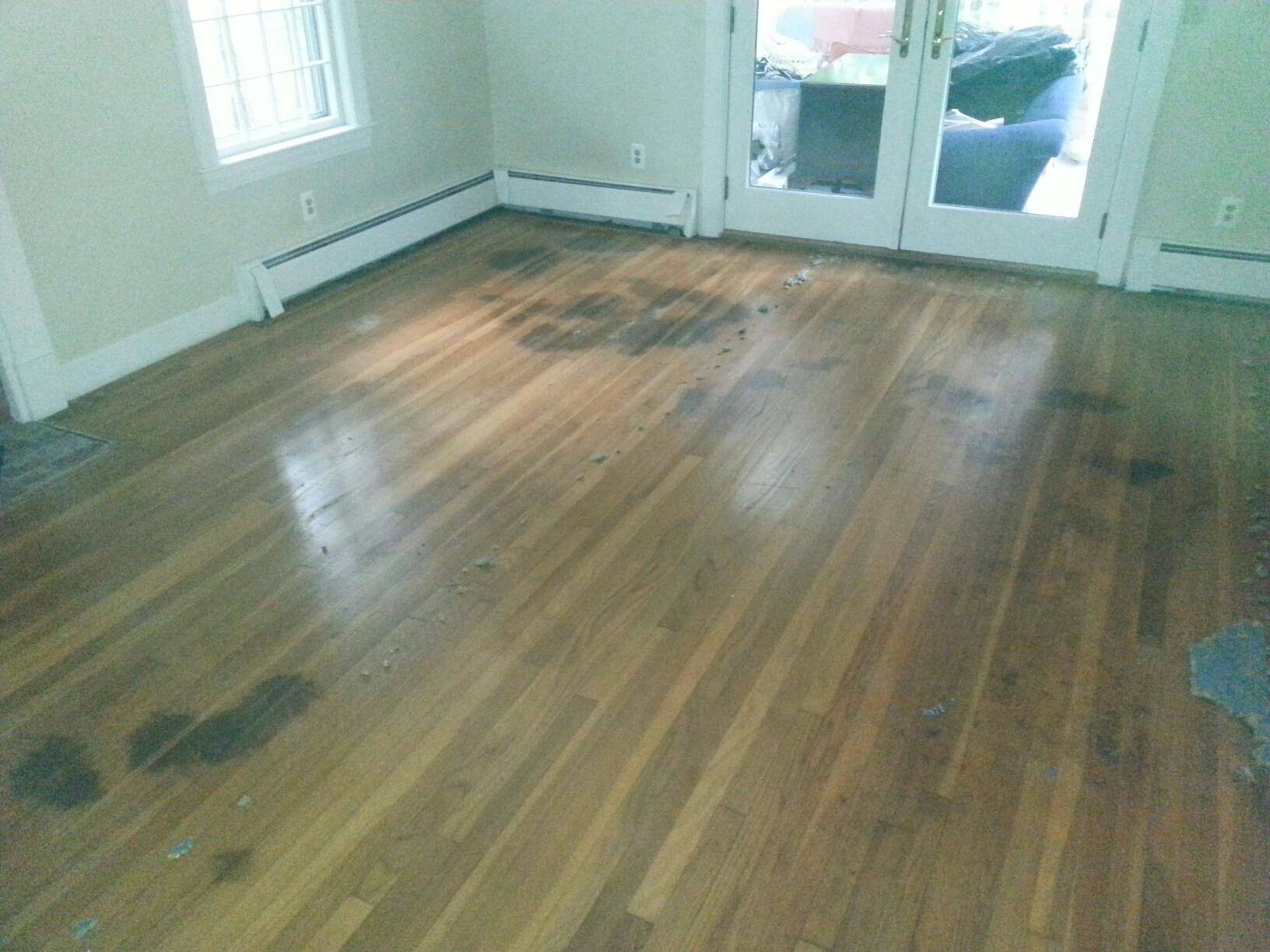 Repairing Pet Stained Hardwood Floors In Acton Ma Central Mass