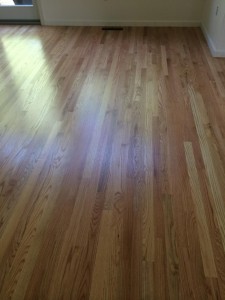 light stain hardwood floors