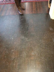 parquet floor in cambridge