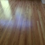 water damage repair on wood floors