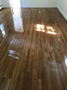 White Oak with Golden Brown Stain
