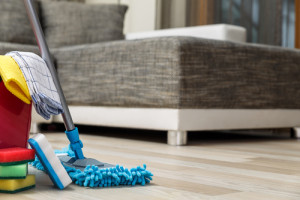 cleaning products for floors
